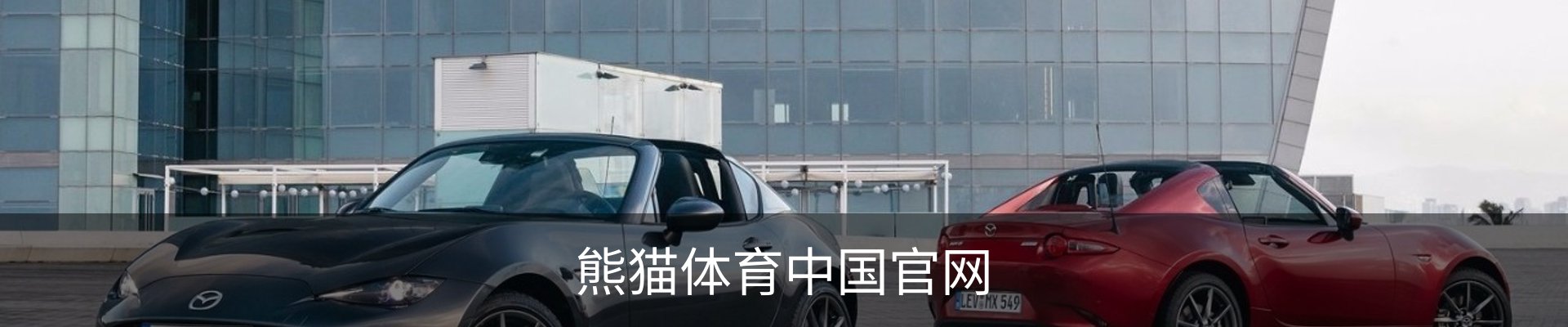 熊猫体育中国官网